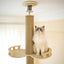 SupermarCat Floor to Ceiling Climbing Cat Tree - Premium SCAT02