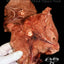 Freeze Dried Alpaca Neck 120G (Limited Supply) - ChokyoPetStore