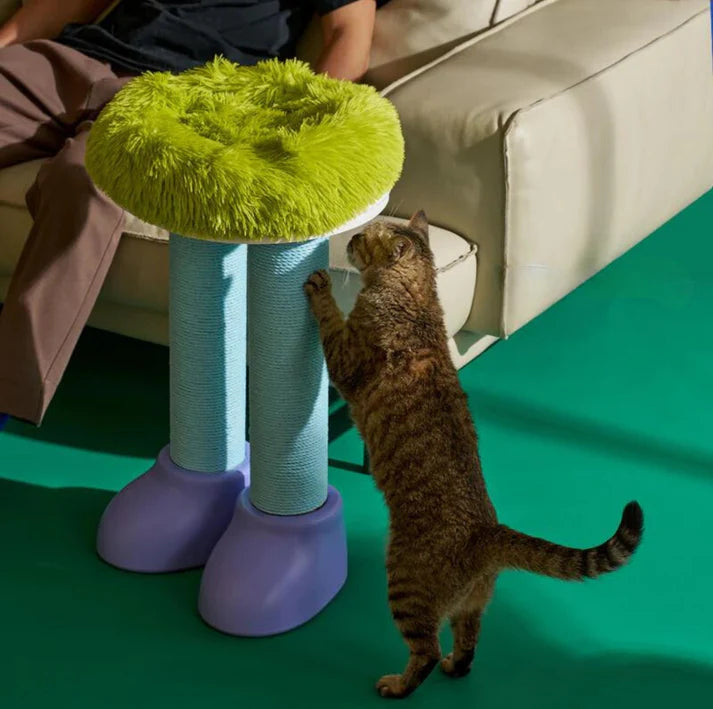 MAKESURE 3-in-1 Cat Scratcher, Bed, and Side Table - Stylish Feline Furniture