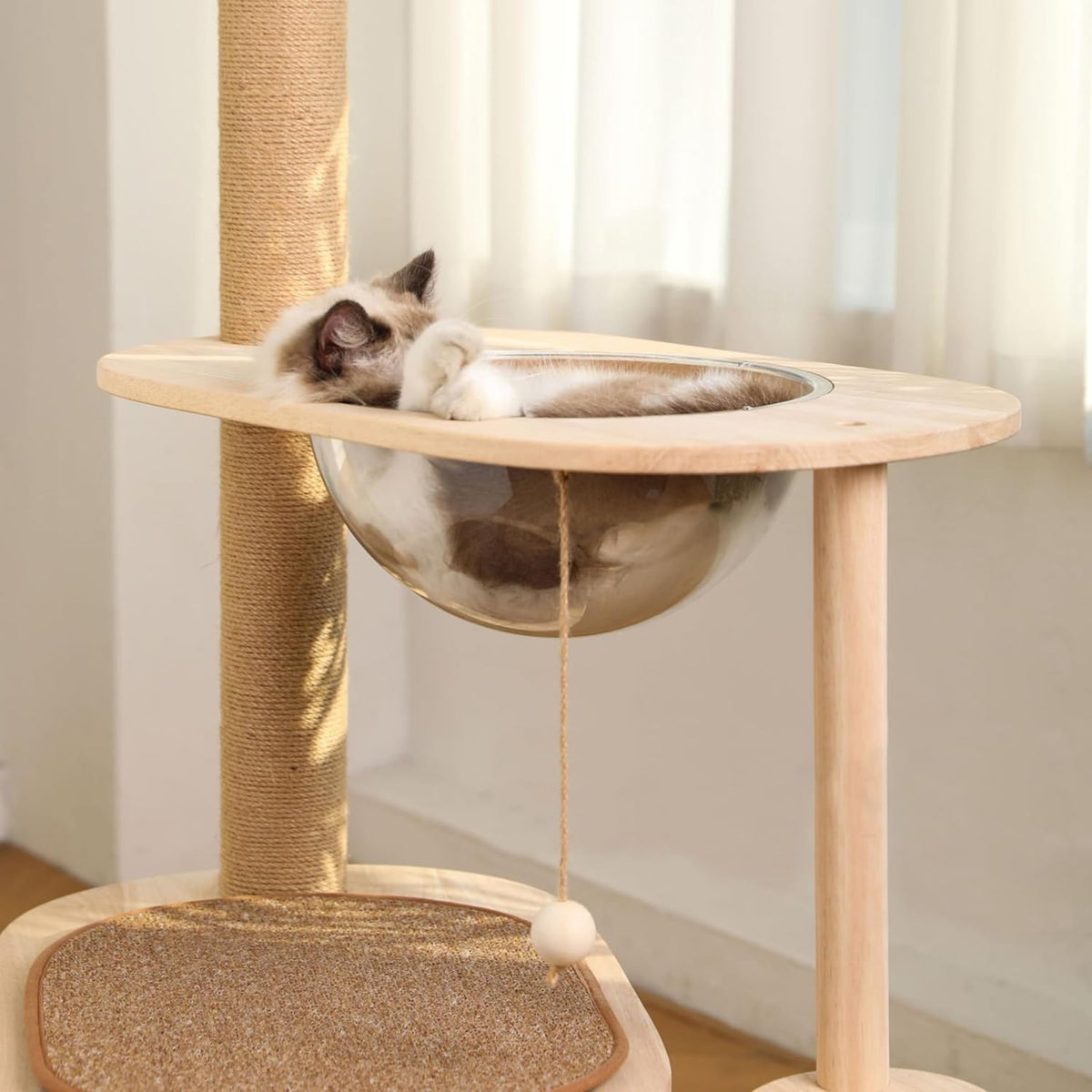 Replacement Acrylic Dome for Cat Trees, Honeypot Cat/Tora Compatible