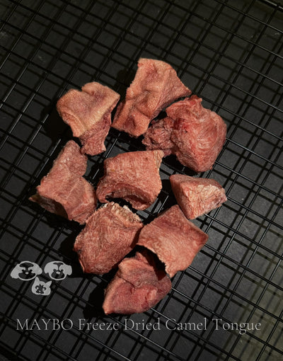 MAYBO Freeze-Dried Camel Tongue – 60g