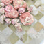 MAYBO Freeze-Dried Delicacy · Damascus White Rose Magic Box (6 pcs) - ChokyoPetStore