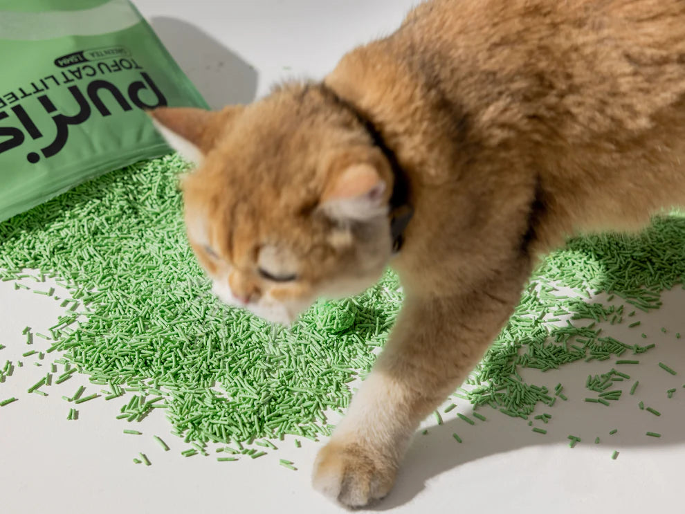 Purrista Tofu Cat Litters 2.5kg