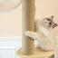 SupermarCat Floor to Ceiling Climbing Cat Tree - Premium SCAT02
