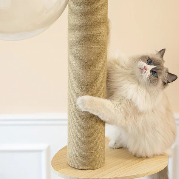 SupermarCat Floor to Ceiling Climbing Cat Tree - Premium SCAT02