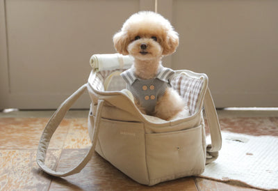 Ba&ttang Pet Carrier Bag