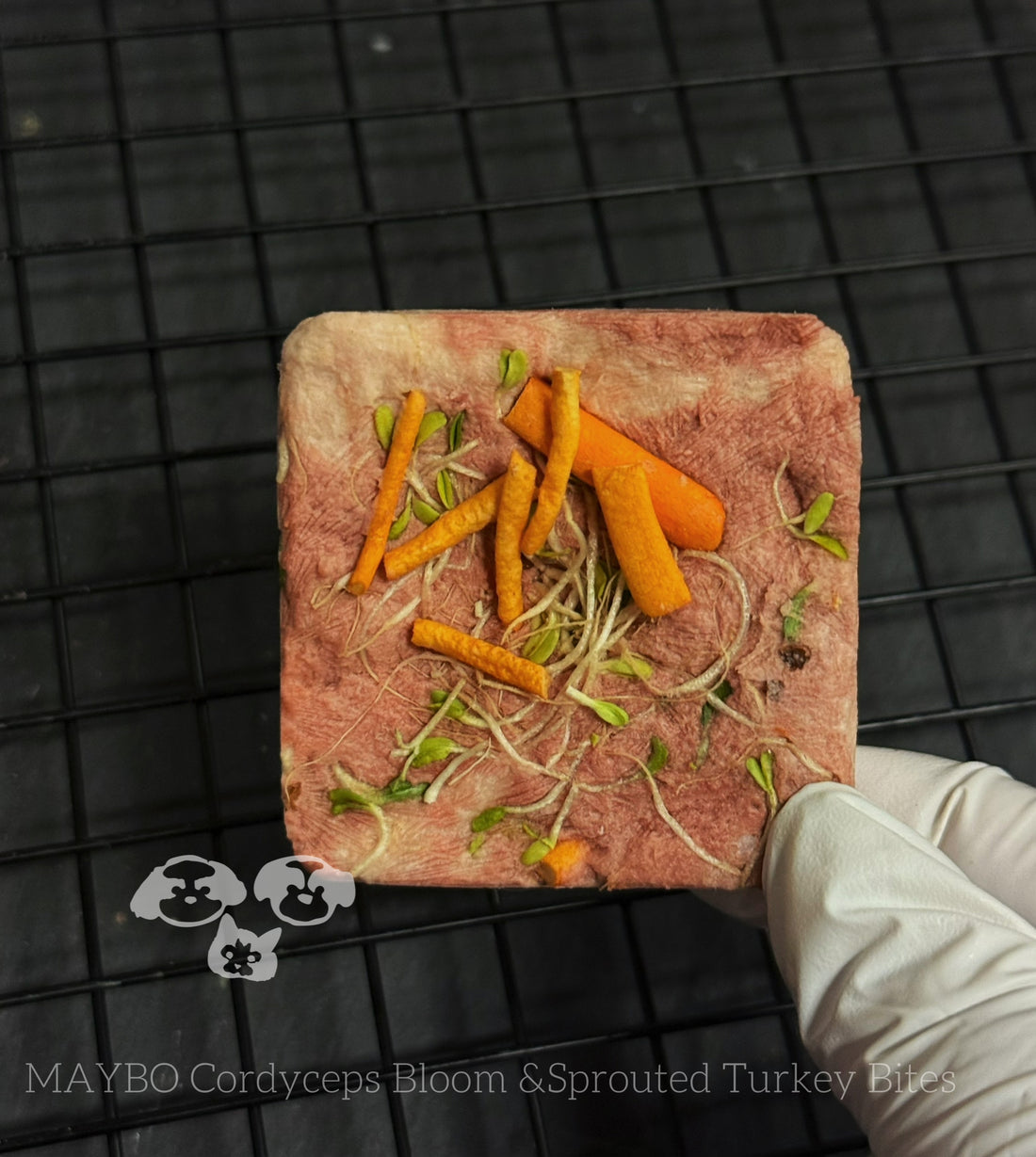 MAYBO Holistic Herbal Nutrition Box – Freeze-Dried Functional Treats with Cordyceps & Sesame Sprout (6 pcs)