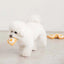 Bite Me Egg Toast Latex Toy