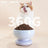 Makesure Calorie Pet Feeding Bowl