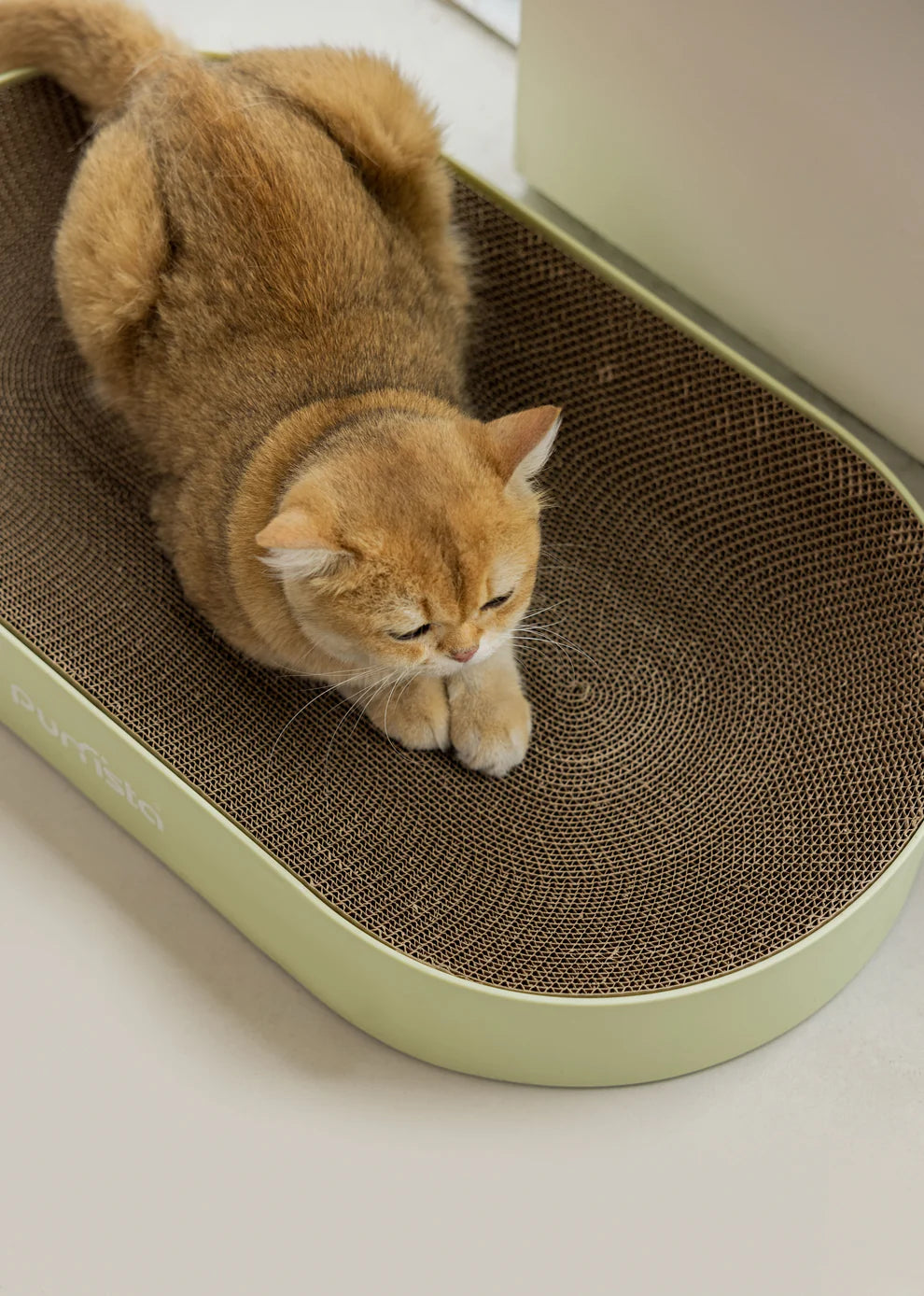 Purrista Cat Scratching Board