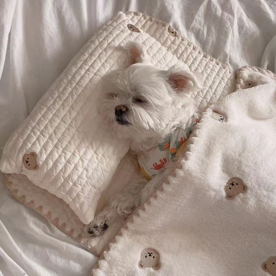 Pet Pillow & Blanket Set | Soft Bear Pattern Dog & Cat Sleeping Set | Cozy Bed Accessories for Small Pets