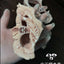 Freeze Dried Crocodile Bone 100g - ChokyoPetStore