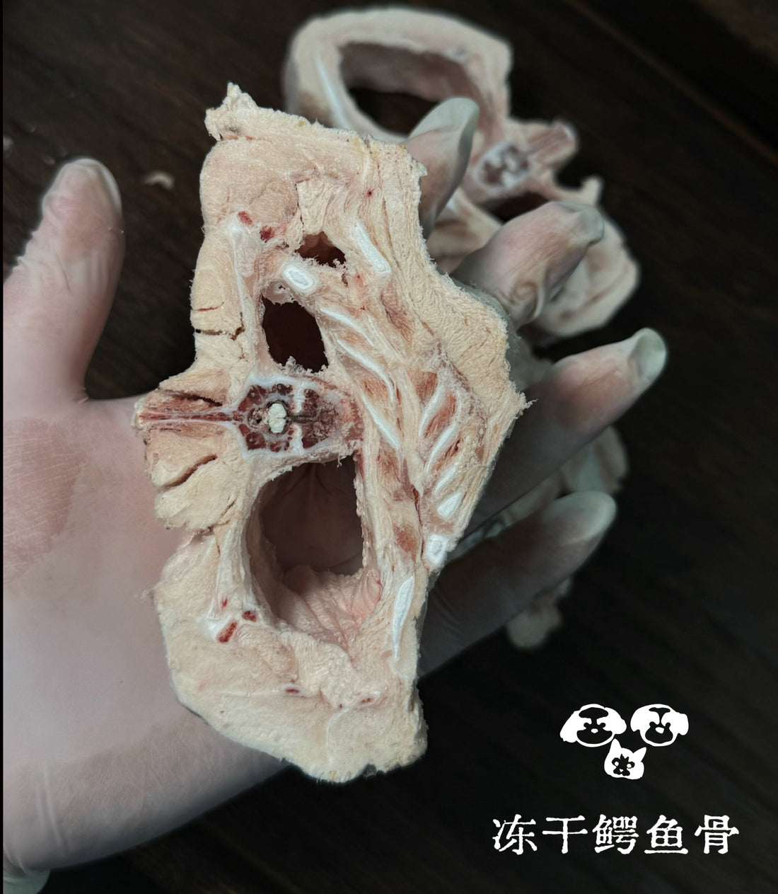 Freeze Dried Crocodile Bone 100g - ChokyoPetStore