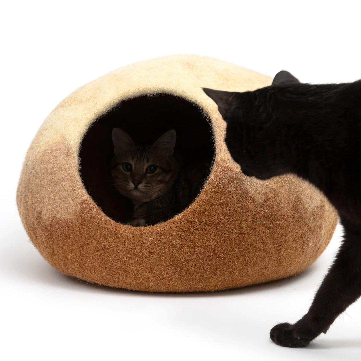 Pawkith Cat-Coon (Cat Bed/Cave)