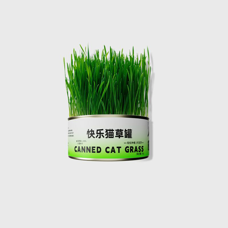 4 Creative Ways to Feed Cat Grass can: Help Your Cat Digest & De-shed Naturally, cat grass seed included - ChokyoPetStore