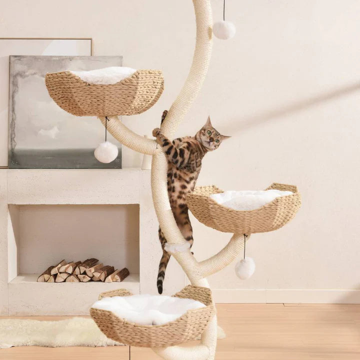 4 tier cat tree clearance