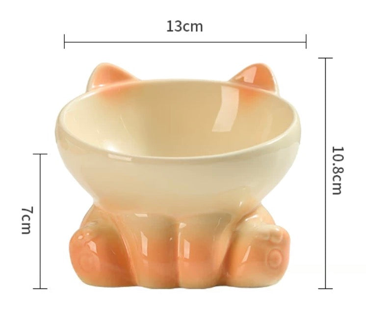 Ceramic 15° Tilted Bowl For Cats & Small Dogs