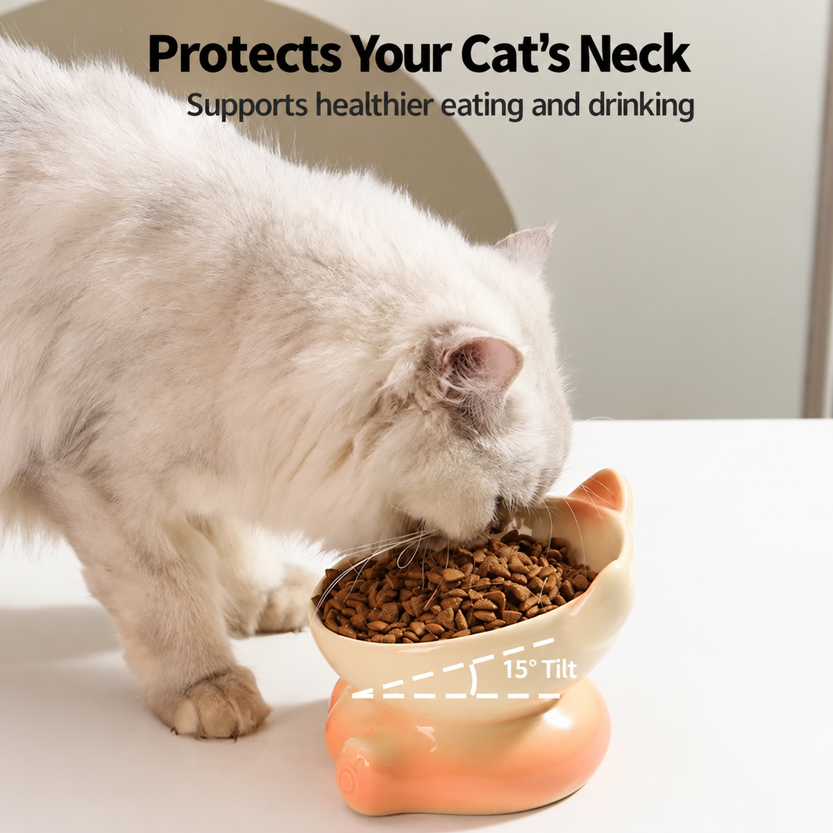 Ceramic 15° Tilted Bowl For Cats & Small Dogs