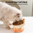 Ceramic 15° Tilted Bowl For Cats & Small Dogs
