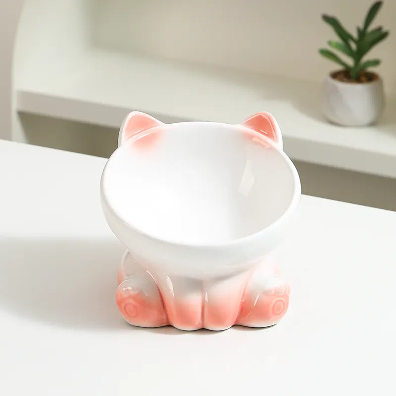 Ceramic 15° Tilted Bowl For Cats & Small Dogs