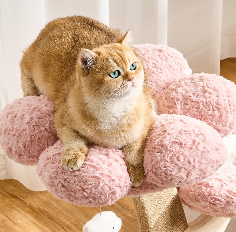 Chokyo Flower Series Two-Tier Cat Tree 72cm