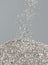 Xu Cuihua Corn & Bentonite Mixed Cat Litter 2.5kg