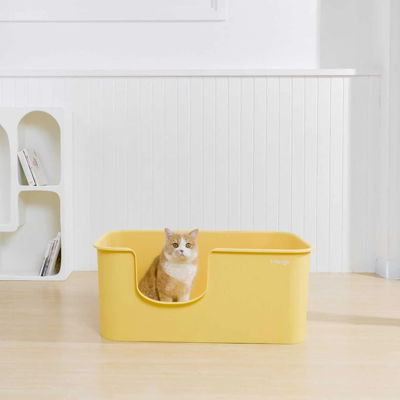 Mango Butter Litter Box XXL (Bonus Scoop)