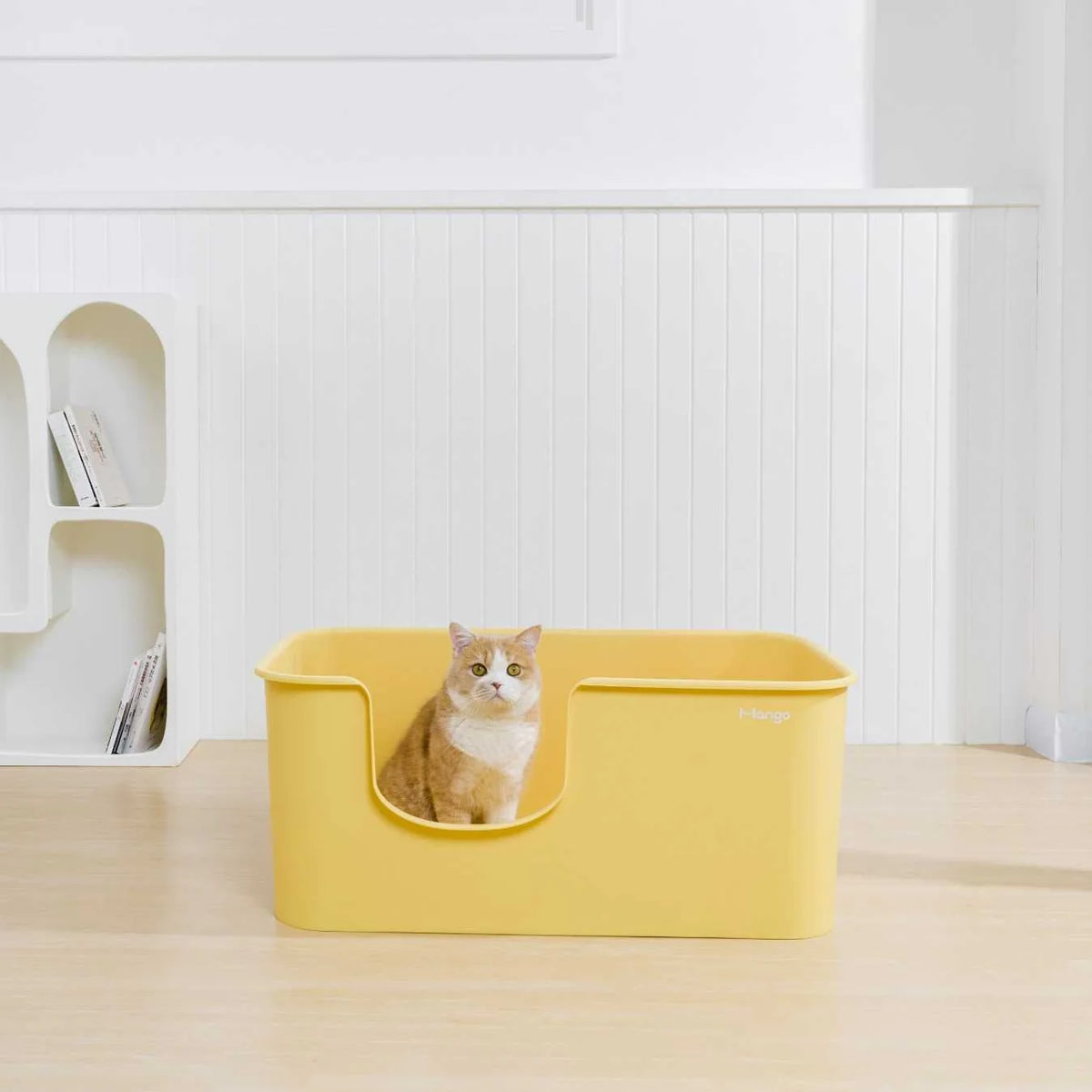 Mango Butter Litter Box XXL (Bonus Scoop)