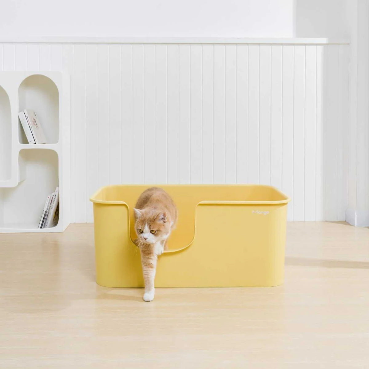 Mango Butter Litter Box XXL (Bonus Scoop)