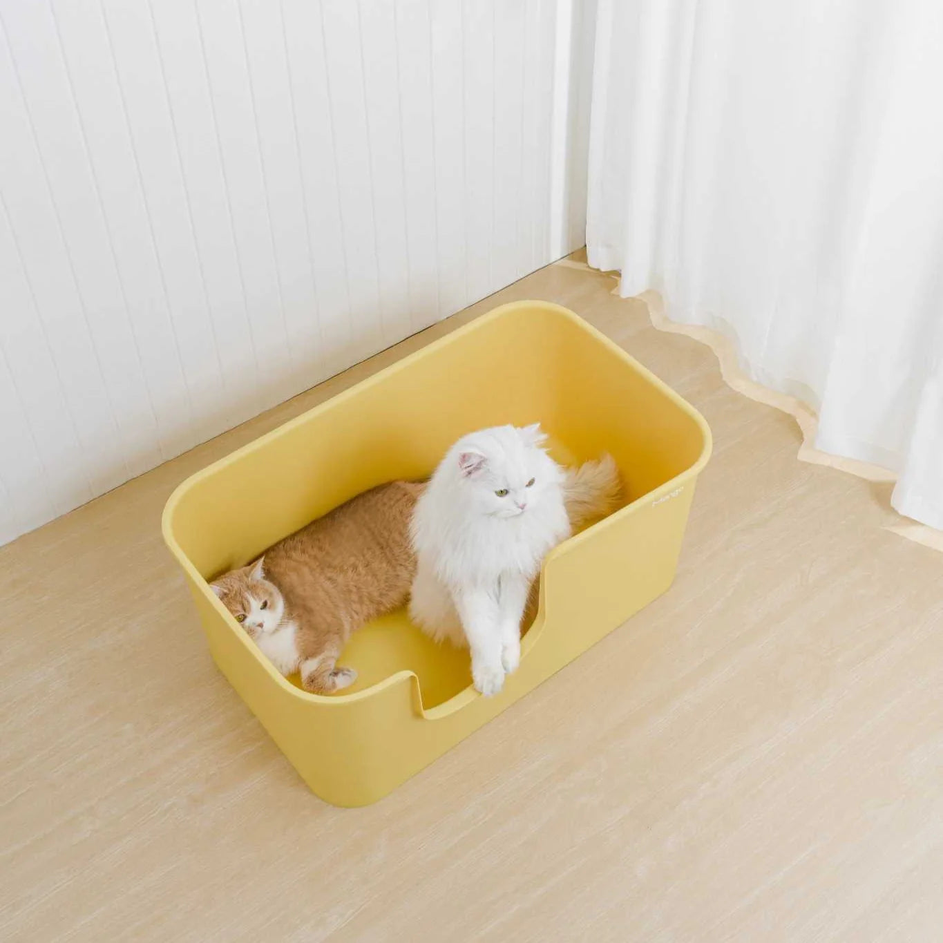 Mango Butter Litter Box XXL (Bonus Scoop)