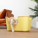 Mango Butter Litter Box XL (Bonus Scoop)