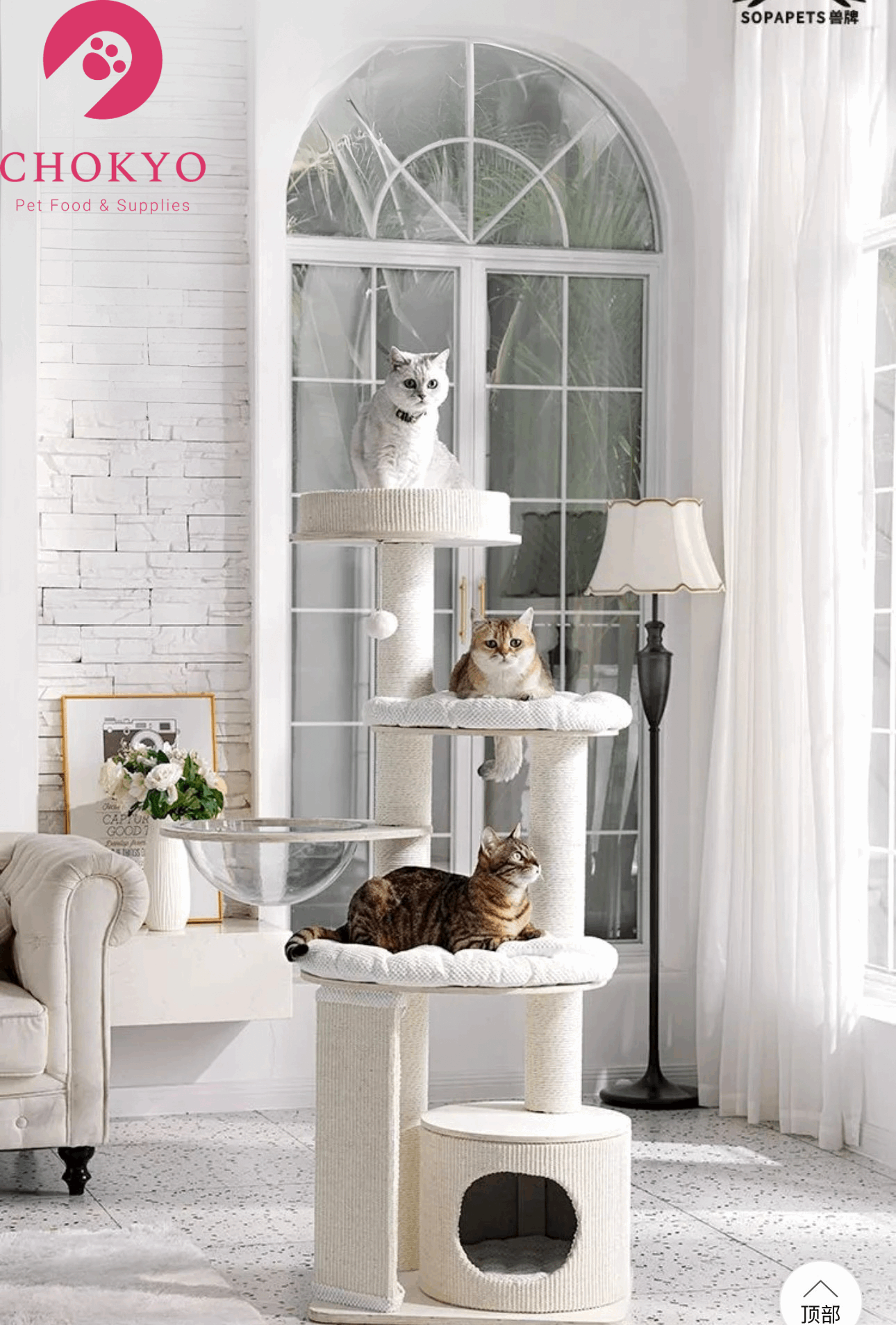 SOPAPETS Luxury Multi-Level Cat Tree Tower with Scratching Posts & Cozy Beds – Modern Cream Design—arrive in middle of Oct - ChokyoPetStore