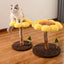 Sunflower Cat Scratching Post – Small Flower Cat Tree with Natural Wood Trunk & Sisal Rope arrive in early sep.