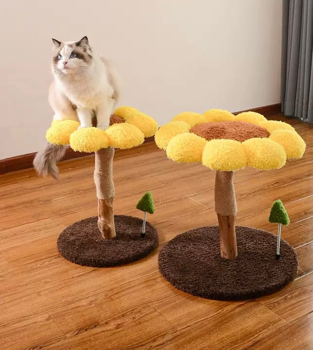 Sunflower Cat Scratching Post – Small Flower Cat Tree with Natural Wood Trunk & Sisal Rope arrive in early sep.