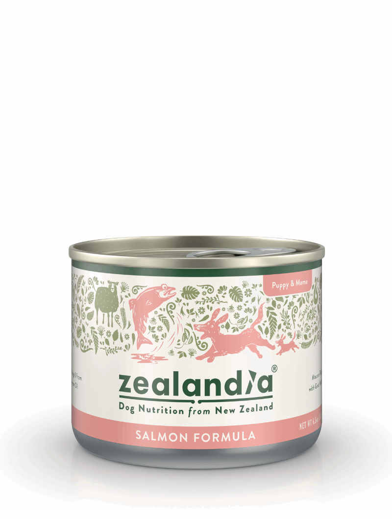 ZEALANDIA Mousse Pate Salmon PUPPY & Mama 24 x 170g - ChokyoPetStore