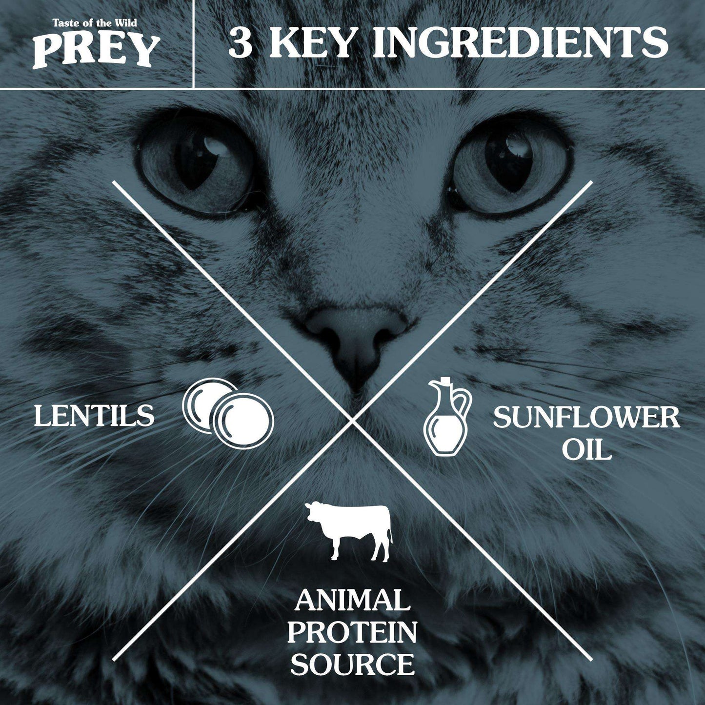 Taste of the Wild PREY Angus Beef Cat Food
