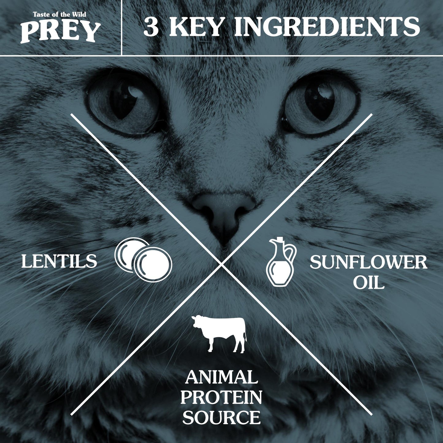 Taste of the Wild PREY Turkey Cat