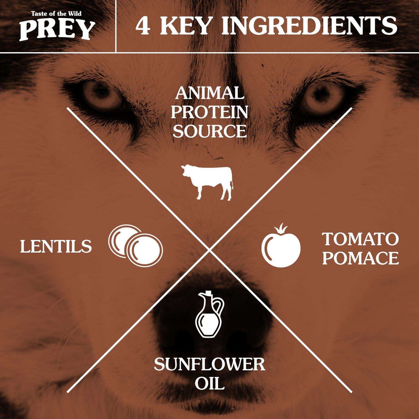 Taste of the Wild PREY Turkey Dog Food - ChokyoPetStore