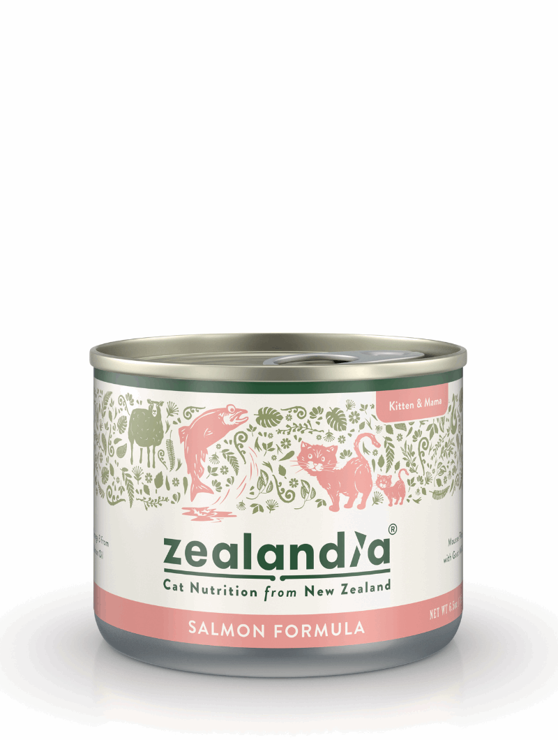 ZEALANDIA Mousse Pate Salmon Kitten & Mama 24 x 170g - ChokyoPetStore