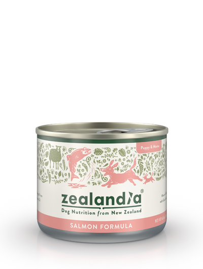 ZEALANDIA Mousse Pate Salmon PUPPY & Mama 24 x 170g