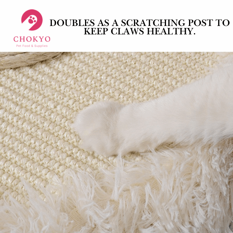 Flower Cat Tower – Plush Base, Sisal Scratching Post, Sturdy Weighted Design for Play & Relaxation - ChokyoPetStore