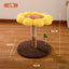 Sunflower Cat Scratching Post – Small Flower Cat Tree with Natural Wood Trunk & Sisal Rope arrive in early sep. - ChokyoPetStore