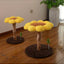 Sunflower Cat Scratching Post – Small Flower Cat Tree with Natural Wood Trunk & Sisal Rope arrive in early sep.