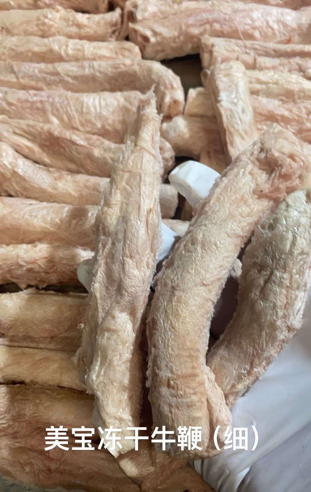Freeze-Dried Bully Sticks (Thin Cut) 50G - ChokyoPetStore