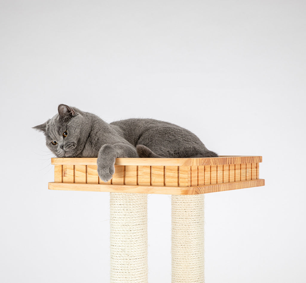 HONEYPOT CAT Solid Wood 5-Level Cat Tree - 180172pro (176cm)