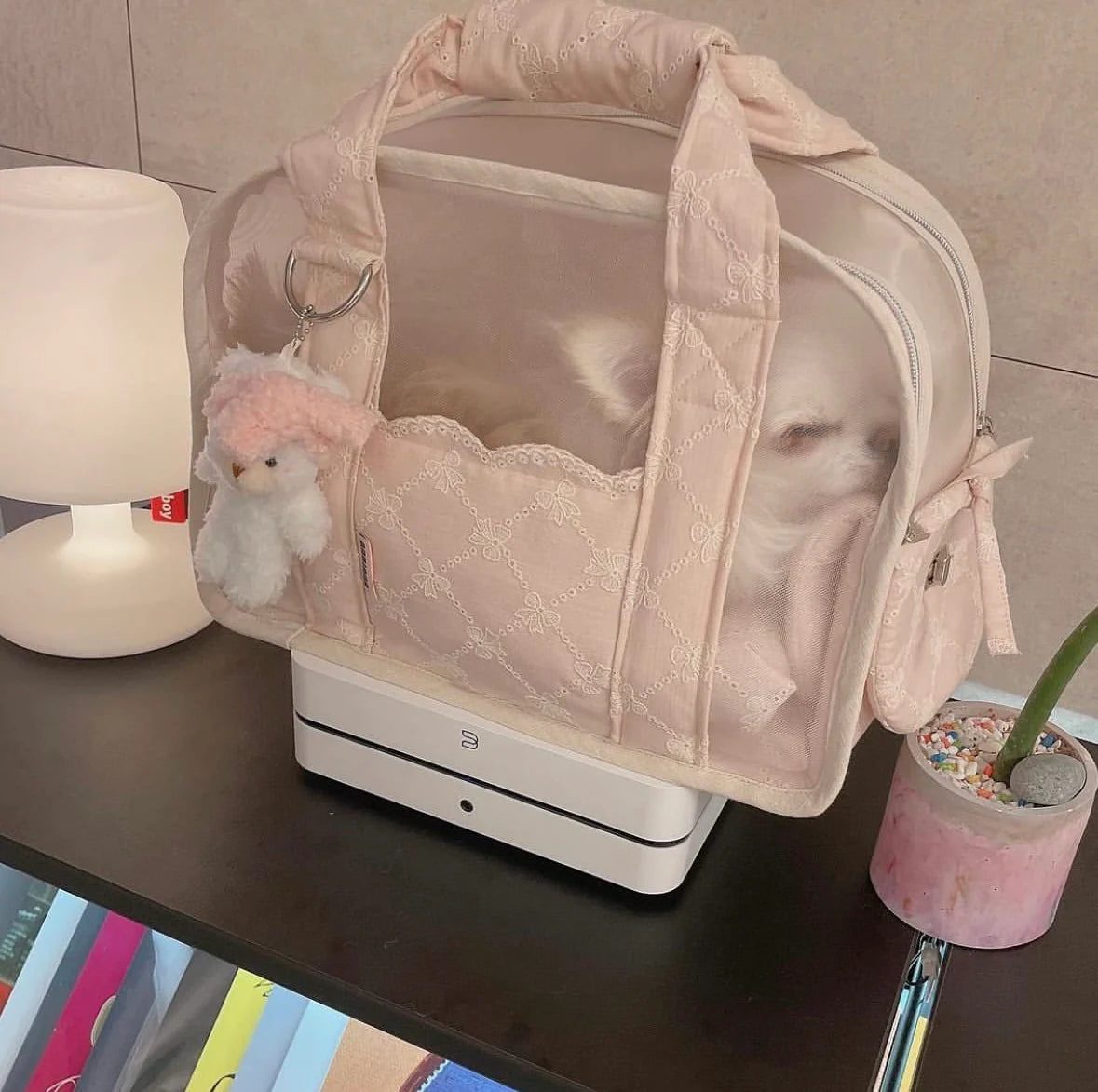 BABIANA Ajiback Cube See through Pet Carrier Bag - Extended - Small