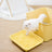 Mango Trapping Step Litter Mat