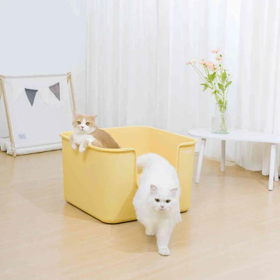 Mango Cube XL Litter Box (Bonus Scoop)
