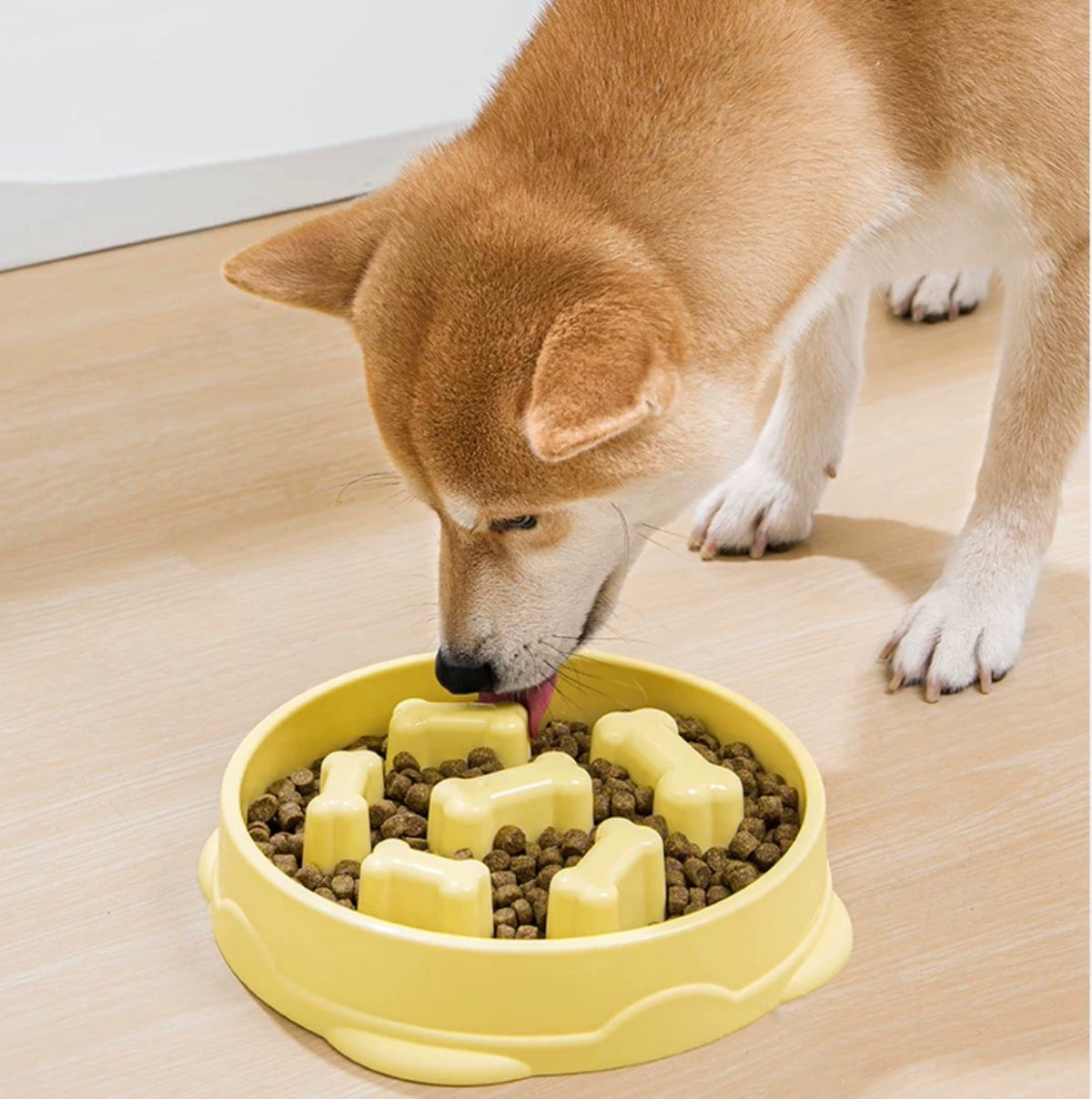 Mango Slow Feeder Pet Bowl