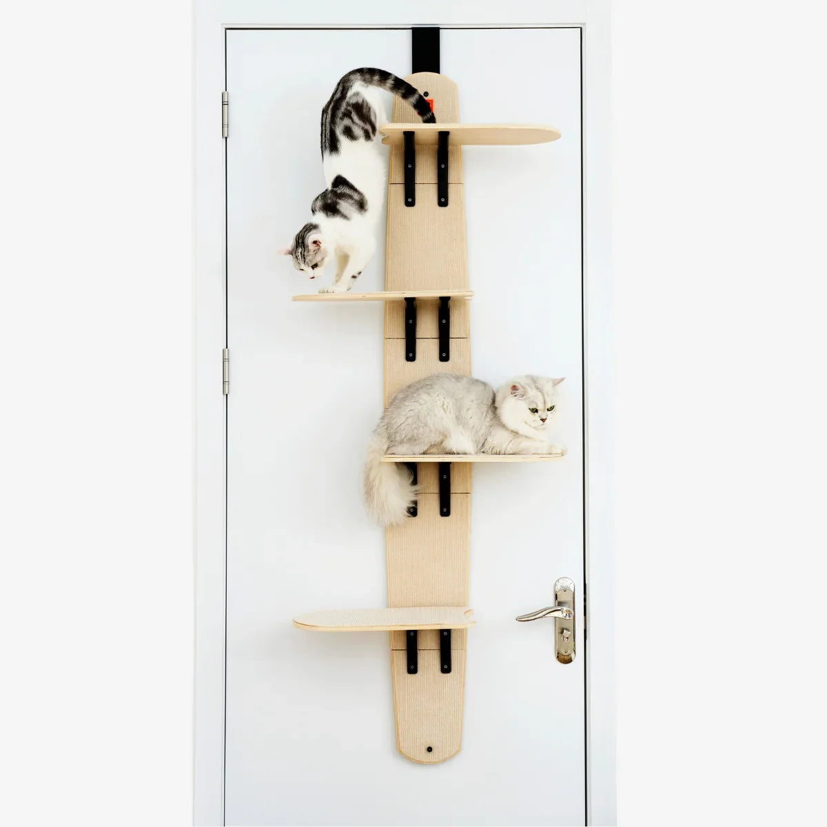 Mewoofun 4-Platform Wooden Door-Hanging Cat Tree